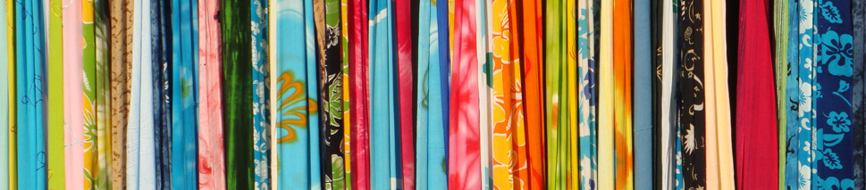 Header image